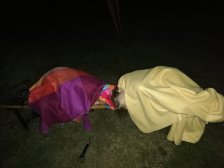 Bdělost a ostražitost