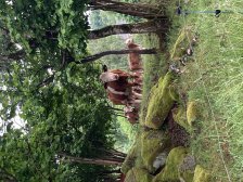 Víkendová výprava Valtínov